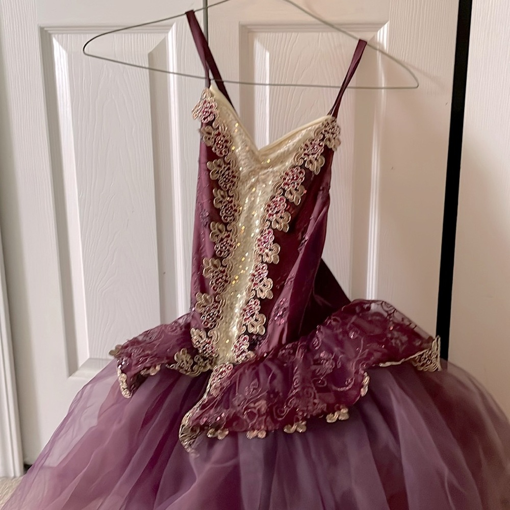 Ballet Costume with Tutu, Floral Details, and Gold Accents